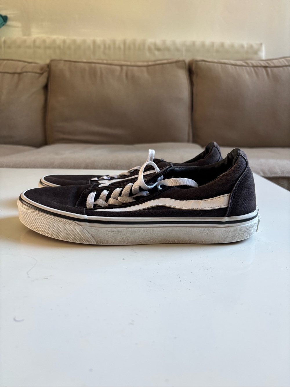 Vans Black Low-Top Sneakers with White Side Stripe